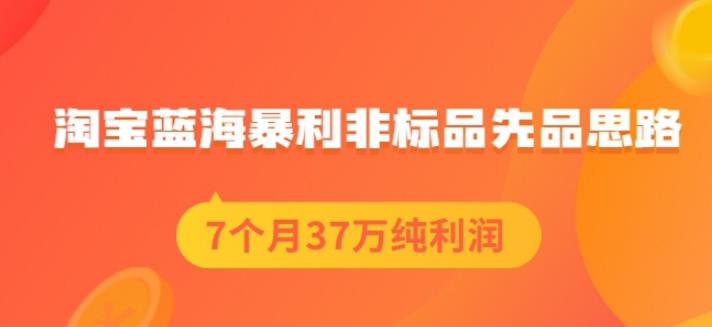 盗坤淘宝蓝海暴利非标品先品思路,7个月37万纯利润,压箱干货分享!【付费文章】