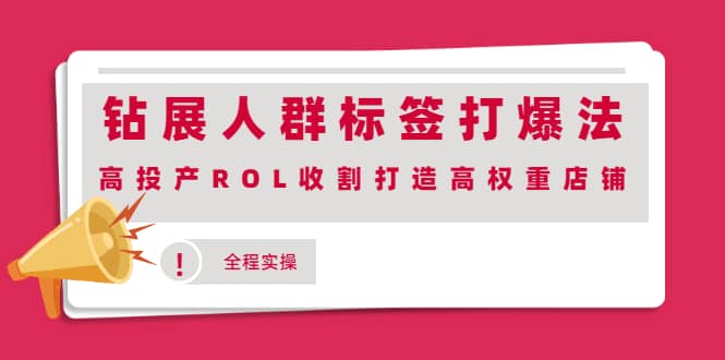 钻展人群标签打爆法,高投产ROL收割打造高权重店铺(全程实操)