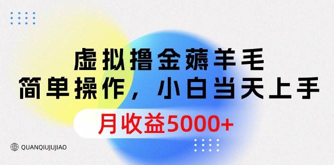 虚拟撸金薅羊毛,简单操作,小白当天上手,月收益5000+