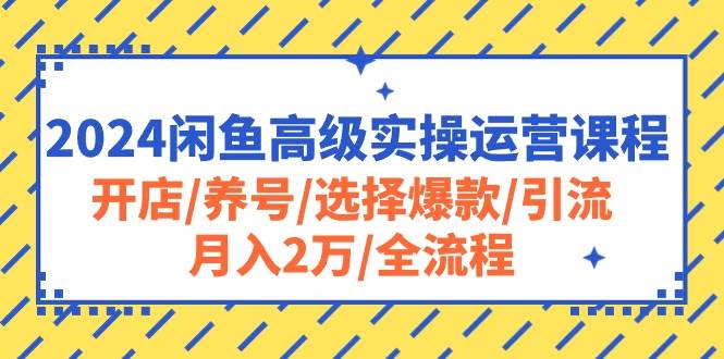2024闲鱼高级实操运营课程:开店/养号/选择爆款/引流/月入2万/全流程