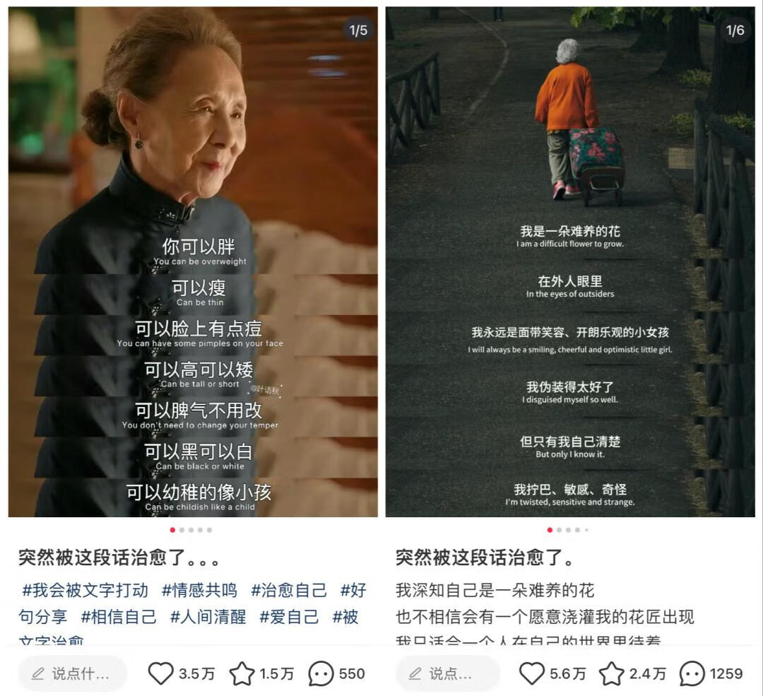 小红书治愈文案项目，一单200元，无脑月入2000+