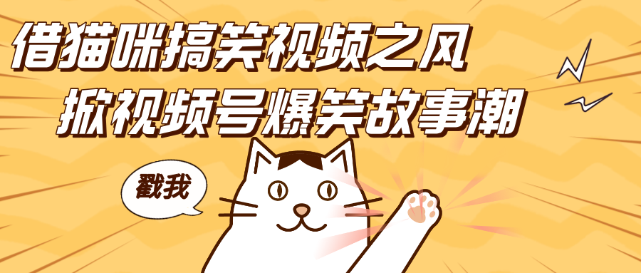 借猫咪搞笑视频之风,掀视频号爆笑故事潮,轻松日赚四位数,开启无门槛赚钱新体验!
