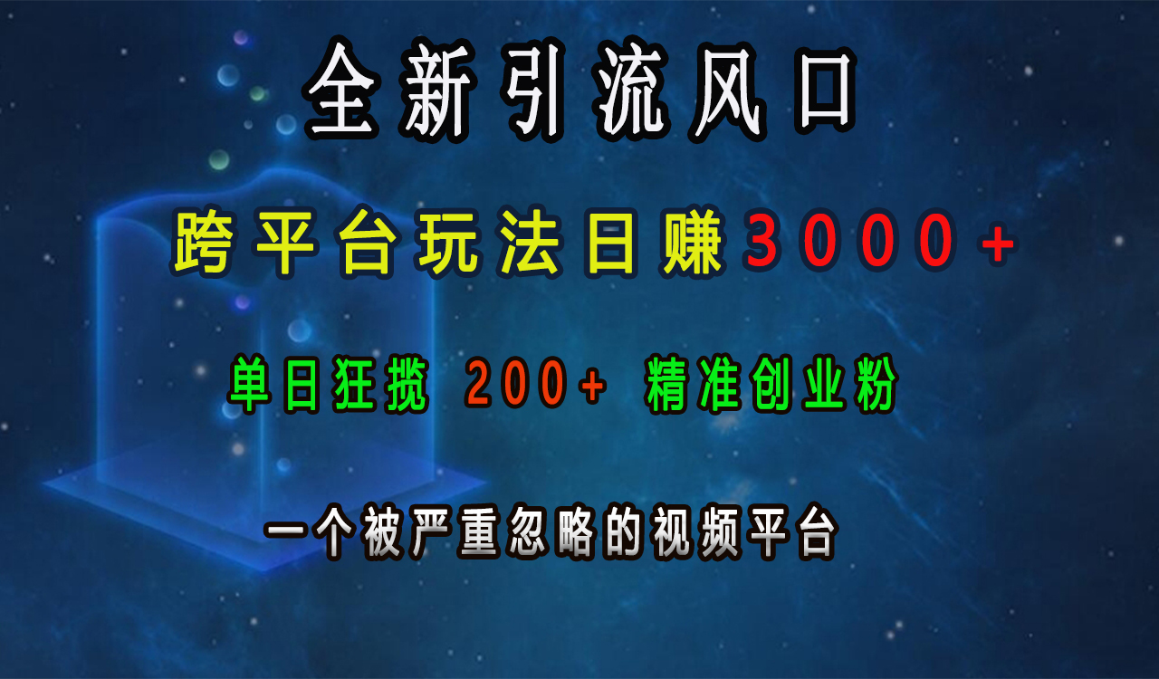 全新引流风口,跨平台玩法日赚3000+,单日狂揽200+精准创业粉,一个被严重忽略的视频平台