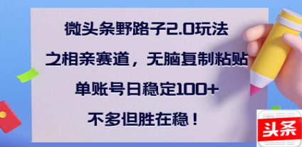 全网首发微头条野路子2.0玩法之相亲赛道,无脑搬砖复制粘贴,单账号日稳定300+保姆级教程