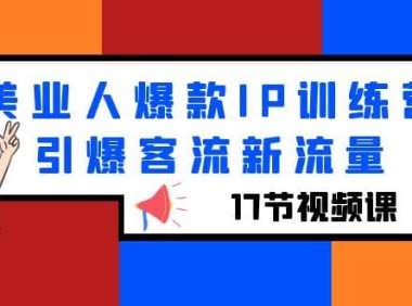 美业人爆款IP训练营,引爆客流新流量(17节视频课)