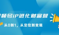 视频号iP进化财富营第1期，21天从0到1，从定位到变现