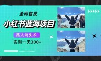 全网首发，小红书蓝海项目，路人消失术，实测一天300 （教程 工具）