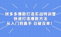 拼多多爆款打造实战特训营：快速打造爆款方法，从入门到高手 日破百单