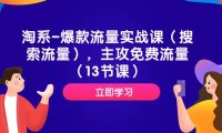 淘系-爆款流量实战课(搜索流量),主攻免费流量(13节课)