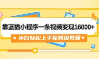 靠蓝猫小程序一条视频变现16000 小白轻松上手保姆级教程(附166G资料素材)