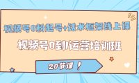 视频号·0粉起号 话术框架线上课:视频号0到1运营培训班(20节课)