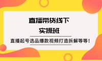 直播带货线下实操班：直播起号选品爆款视频打造拆解等等