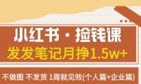 小红书·捡钱课 发发笔记月挣1.5w 不做图 不发货 1周就见效(个人篇 企业篇)