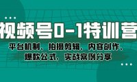 视频号0-1特训营:平台机制、拍摄剪辑、内容创作、爆款公式,实战案例分享
