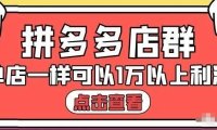 拼多多店群单店一样可以产出1万5以上利润【付费文章】