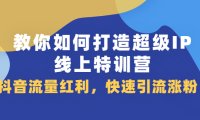 教你如何打造超级IP线上特训营,抖音流量红利新机遇