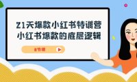 21天-爆款小红书特训营,小红书爆款的底层逻辑(8节课)