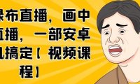 无绿布直播,画中画直播,一部安卓手机搞定【视频课程】