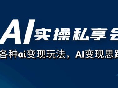 AI实操私享会，各种ai变现玩法，AI变现思路（67节课）