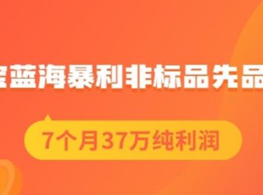 盗坤淘宝蓝海暴利非标品先品思路，7个月37万纯利润，压箱干货分享！【付费文章】