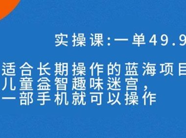 一单49.9长期蓝海项目,儿童益智趣味迷宫,一部