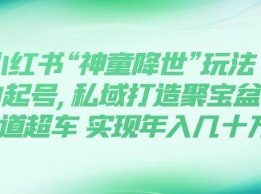 小红书“神童降世”玩法 暴力起号,私域打造聚宝盆 弯道超车 实现年入几十万