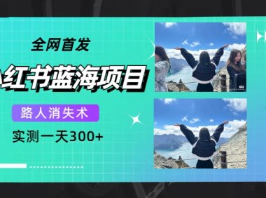 全网首发，小红书蓝海项目，路人消失术，实测一天300 （教程 工具）