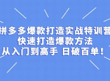 拼多多爆款打造实战特训营：快速打造爆款方法，从入门到高手 日破百单