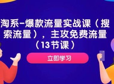 淘系-爆款流量实战课(搜索流量),主攻免费流量(13节课)