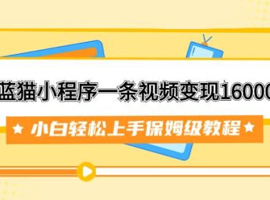 靠蓝猫小程序一条视频变现16000 小白轻松上手保姆级教程(附166G资料素材)