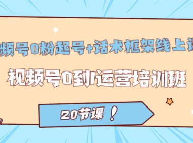 视频号·0粉起号 话术框架线上课:视频号0到1运营培训班(20节课)