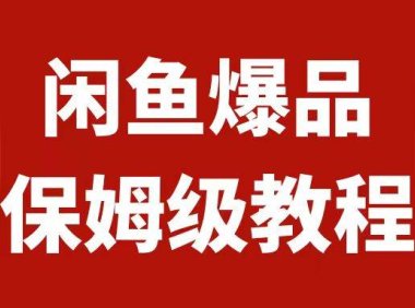 闲鱼爆品数码产品,矩阵话运营,保姆级实操教程,日入1000