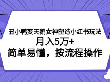 丑小鸭变天鹅女神塑造小红书玩法,月入5万 ,简单易懂,按流程操作
