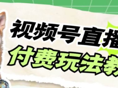 视频号美女付费无人直播,轻松日入500 【详细玩