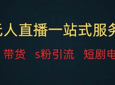 无人直播全套服务,变现稳定