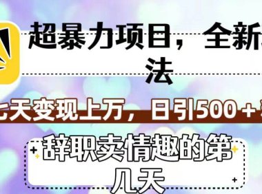 超暴利项目,全新玩法(辞职卖情趣的第几天),七天变现上万,日引500 粉