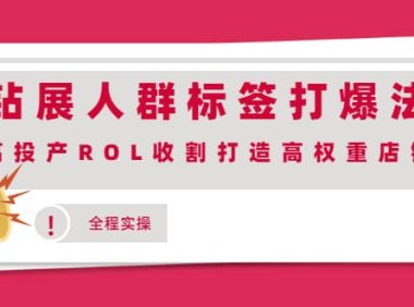 钻展人群标签打爆法,高投产ROL收割打造高权重店铺(全程实操)