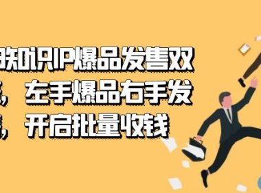2023知识IP-爆品发售双 阶班，左手爆品右手发售，开启批量收钱