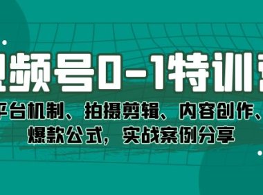 视频号0-1特训营:平台机制、拍摄剪辑、内容创作、爆款公式,实战案例分享