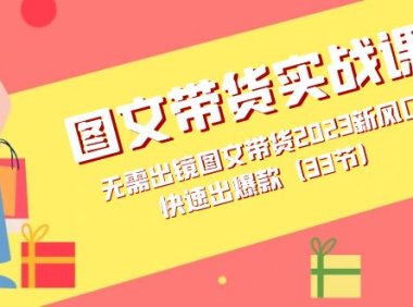 图文带货实战课:无需出镜图文带货2023新风口,快速出爆款(33节)