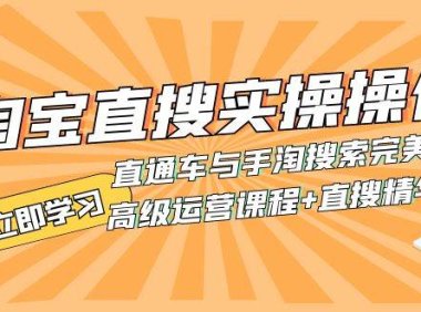 淘宝直搜实操操作 直通车与手淘搜索完美结合(高级运营课程 直搜精华实战)