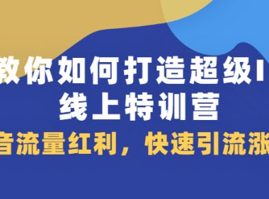 教你如何打造超级IP线上特训营,抖音流量红利新机遇