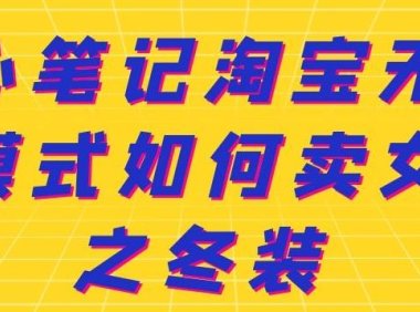 叁心笔记淘宝无货源模式如何卖女装之冬装
