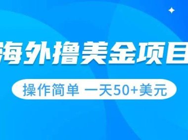 撸美金项目 无门槛 操作简单 小白一天50 美刀