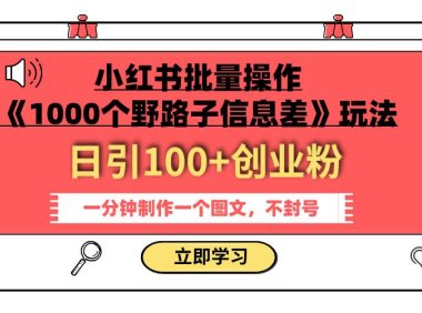 小红书批量操作《1000个野路子信息差》玩法 日引100 创业粉 一分钟一个图文