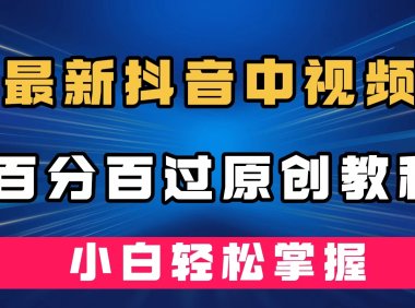 最新抖音中视频百分百过原创教程,深度去重,小白轻松掌握