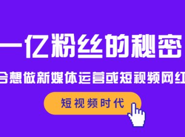 一亿粉丝的秘密,适合想做新媒体运营或短视频网红的你