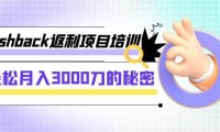 cashback返利项目培训:轻松月入3000刀的秘密(8节课)