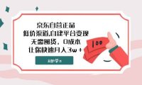 京东自营正品,低价渠道,自建平台变现,无需囤货,0成本,让你快速月入3w+