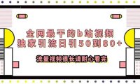全网最干的b站视频独家引流日引50到80 流量视频很长请耐心看完